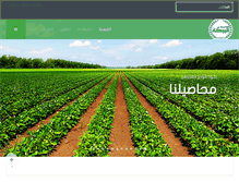 Tablet Screenshot of mw-albaraka.net